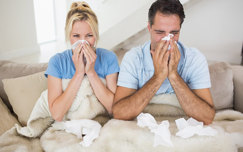 Strategies to Keep Your Indoor Air Quality Healthy
